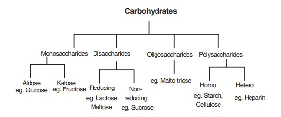 Carbohydrates Definition and Classification.